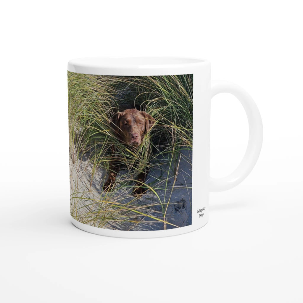 be8562fa-bff2-48cf-b199-39fea05e9bfd